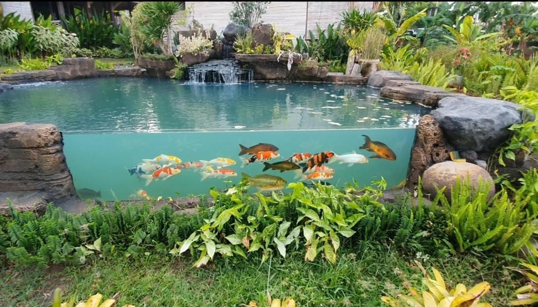 Agaliving Medewi 4* Pulukan